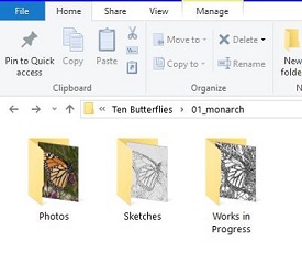 The Monarch Folder